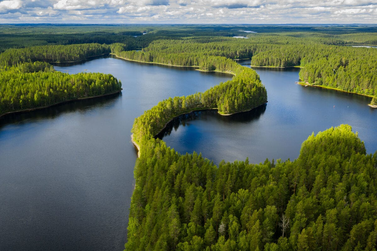 Saimaa lakeland from above